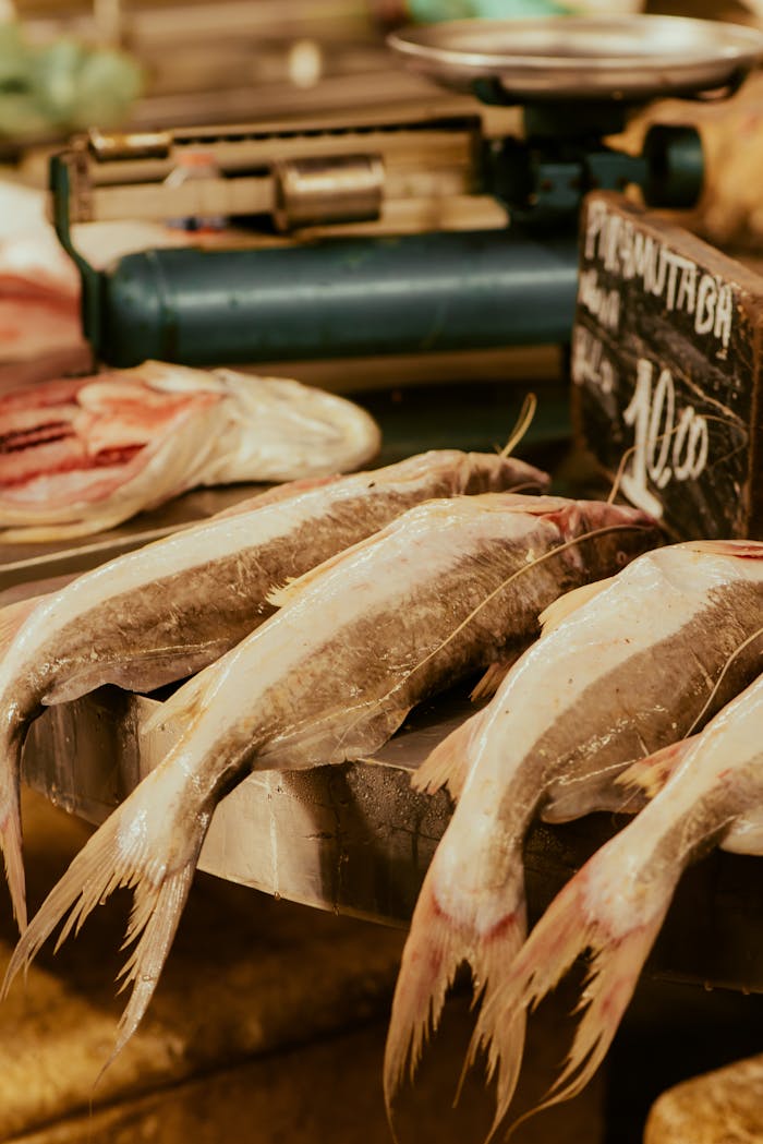 our-experience Fresh fish laid out for sale at a market stall, showcasing pristine seafood offerings.